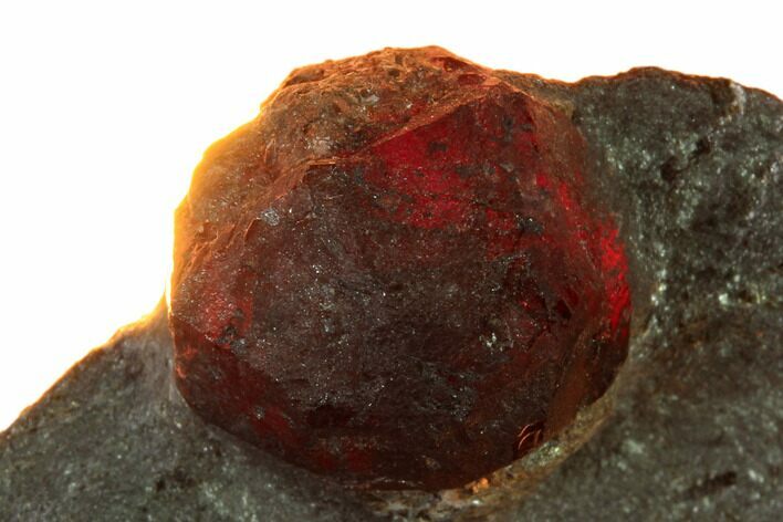 Red Embers Garnet in Graphite - Massachusetts #147843